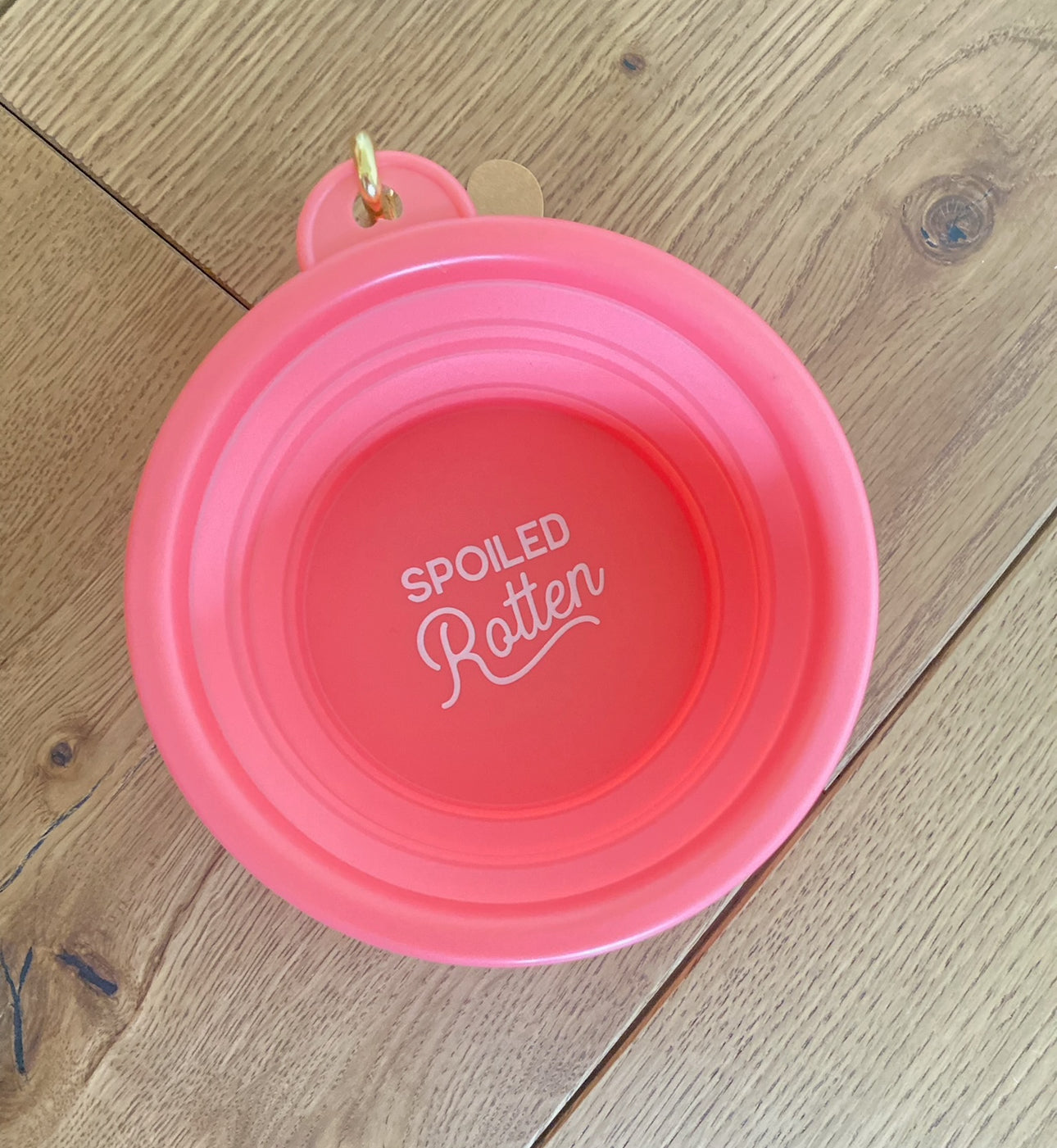 Pink Travel Collapsible Water Bowl